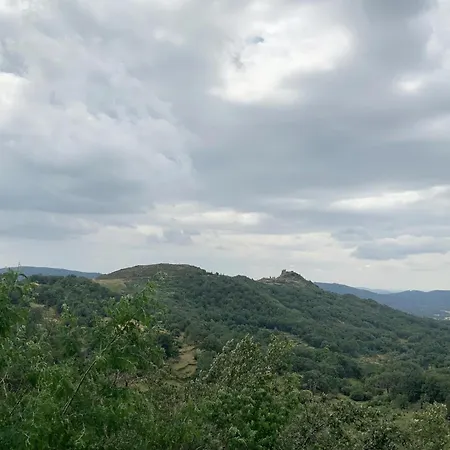In With Mountain Views, Cleaning Included *